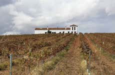 Visita à adega Pentateuco