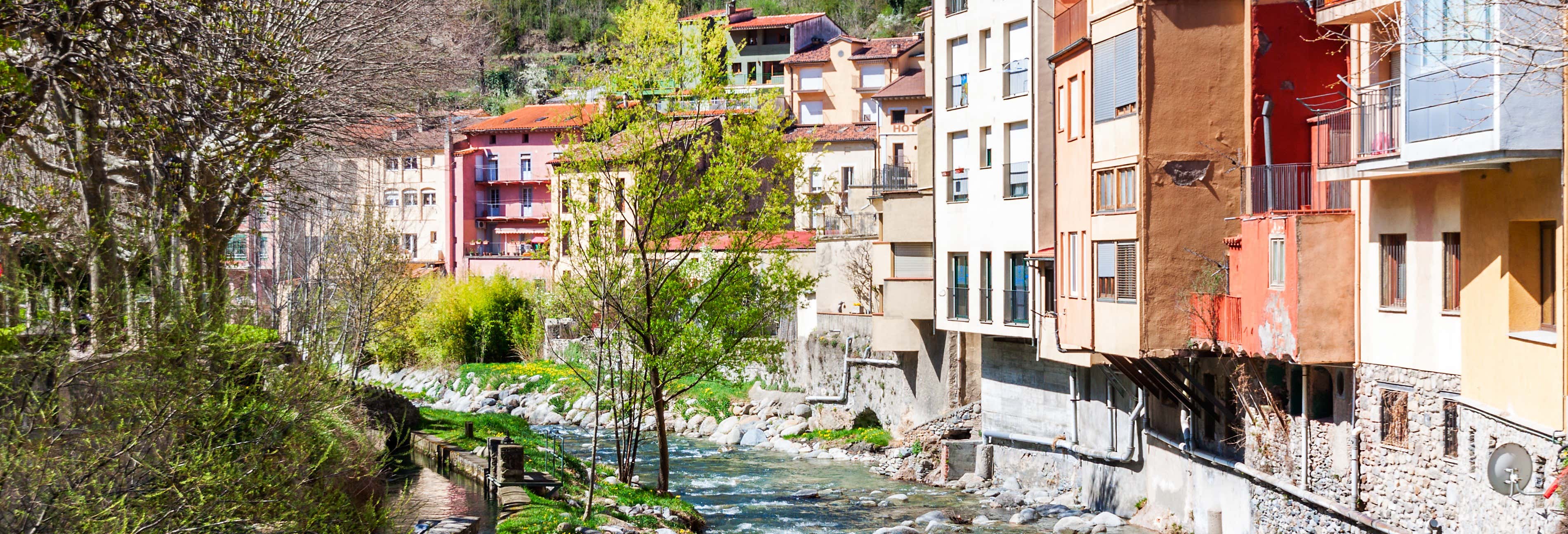 Ribes de Freser