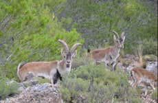 Tour en 4x4 por las Sierras de Cazorla, Segura y Las Villas