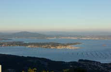 Paseo en barco por la ría + Degustación de mejillones