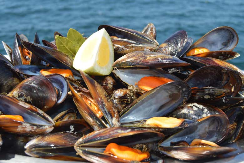 Degustazione di cozze