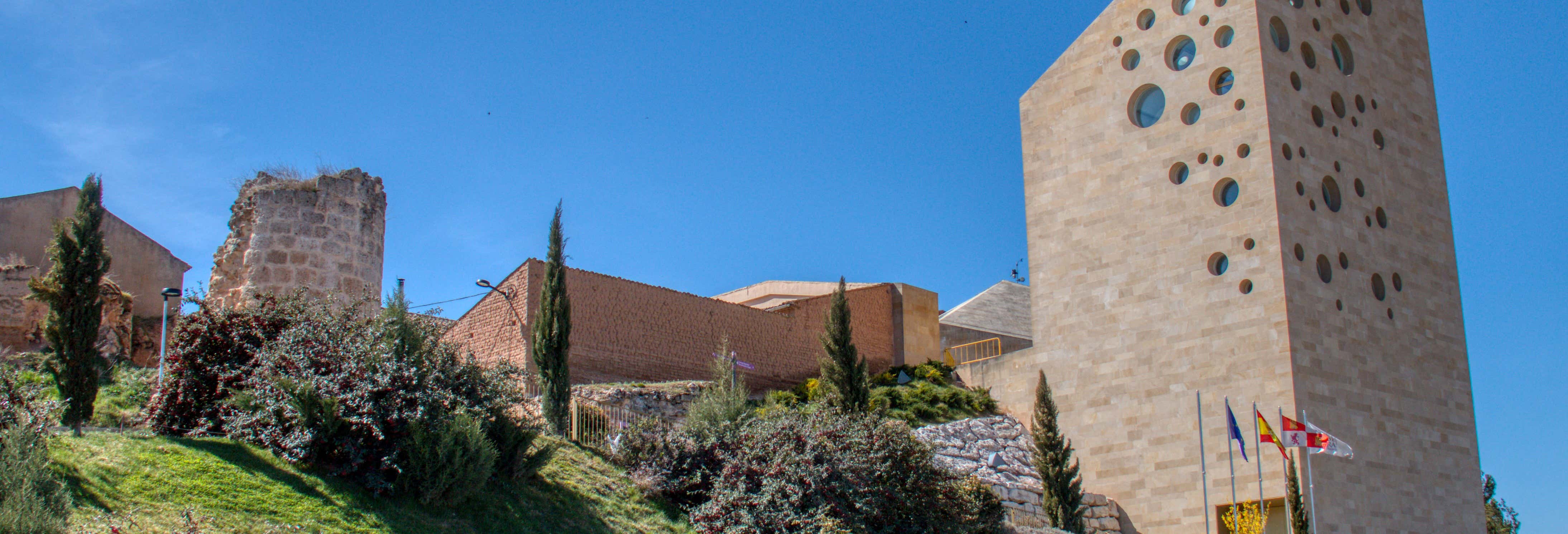 Roa de Duero