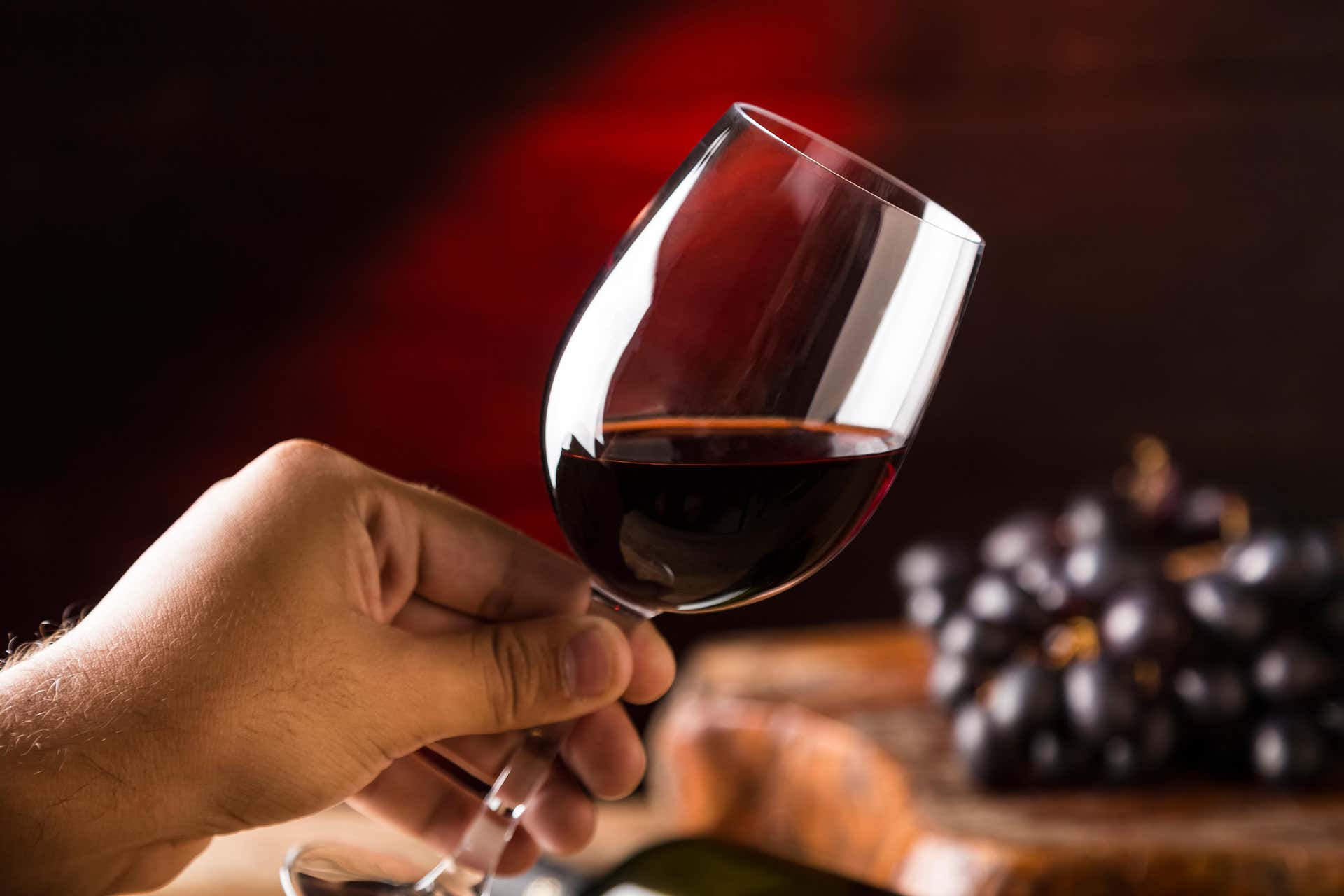Nos vamos de ruta por 5 bodegas de la Ribera del Duero