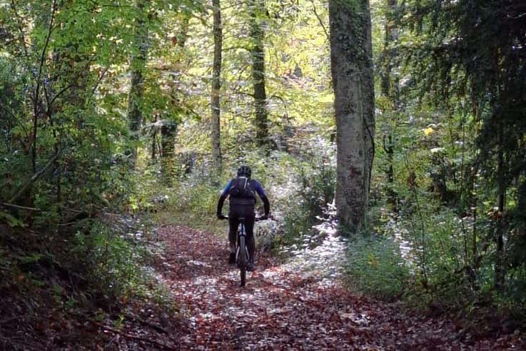 Parcourez les sentiers de la forêt d'Iraty