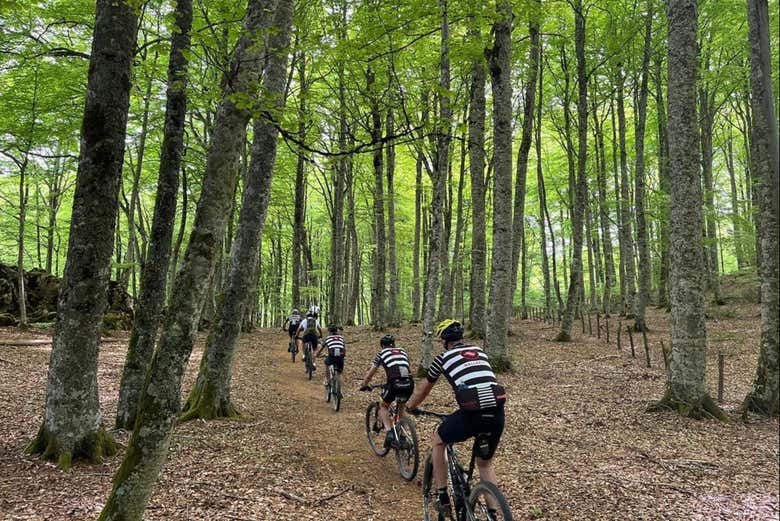 Profitez d'une balade à vélo dans la forêt d'Iraty