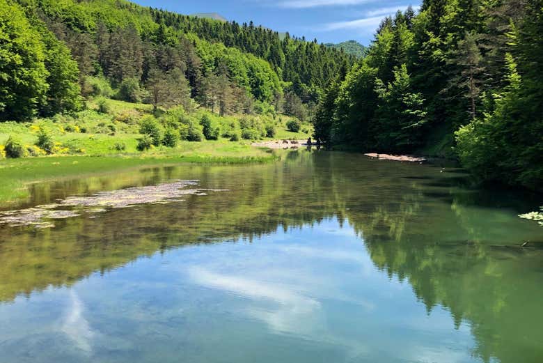 Lac de la forêt d'Iraty
