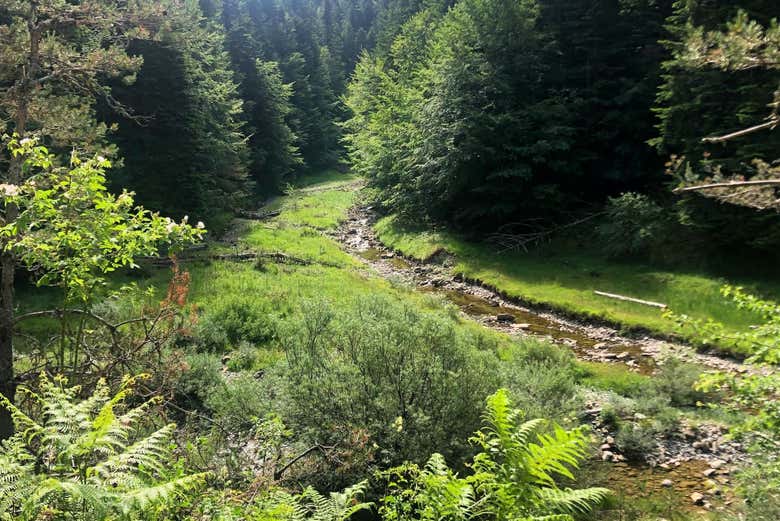 L'une des rivières qui traverse la forêt d'Iraty