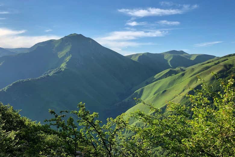 Vue impressionnante sur la forêt d'Iraty