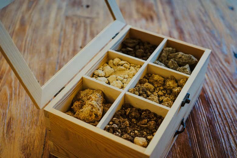 See the different kinds of soil used