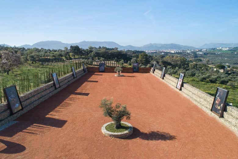 Exposição de fotografias