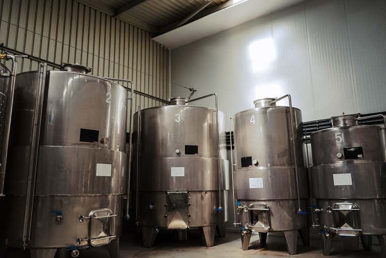 Learn about the wine making process