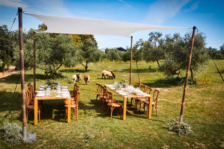 Uma das áreas exteriores da fazenda