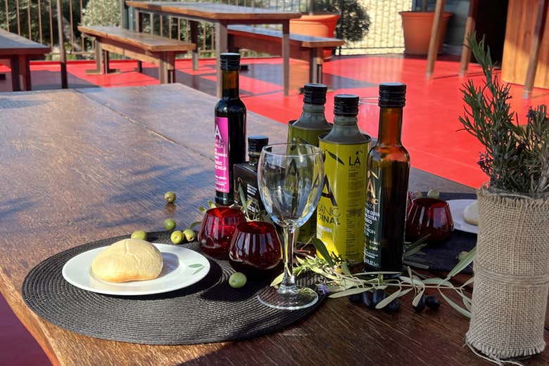 Tutto pronto per la degustazione dell'olio