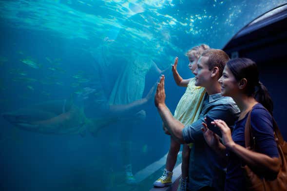 Costa de Almeria Aquarium Ticket