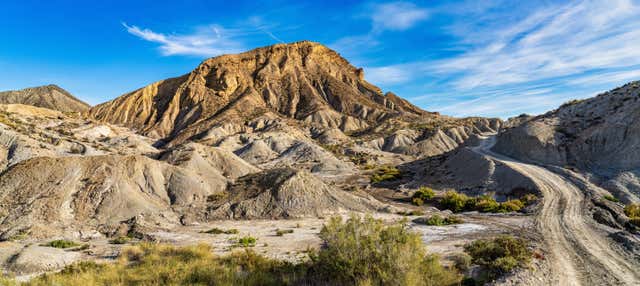 Excursión al desierto de Tabernas y Fort Bravo