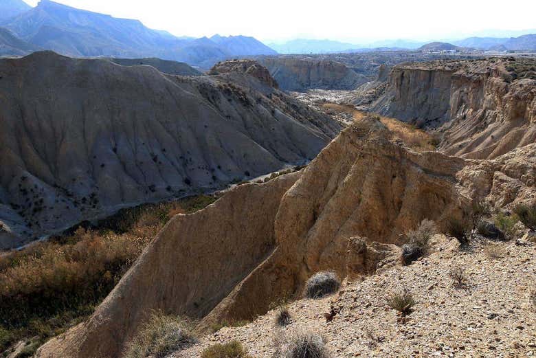 Paseando por el desierto de Tabernas
