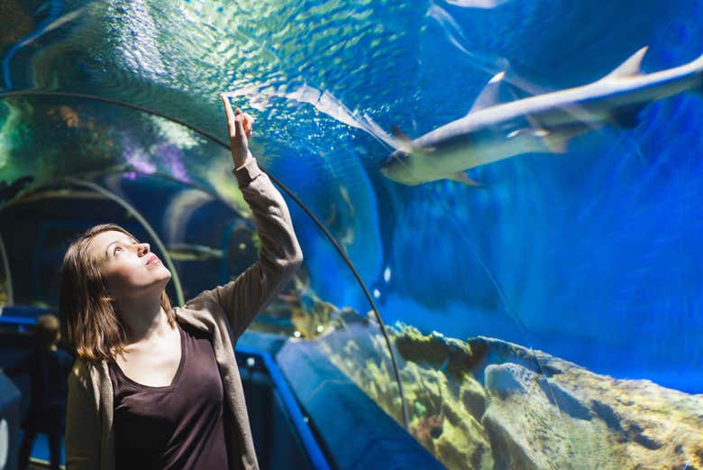 Visitando o aquário de Roquetas de Mar