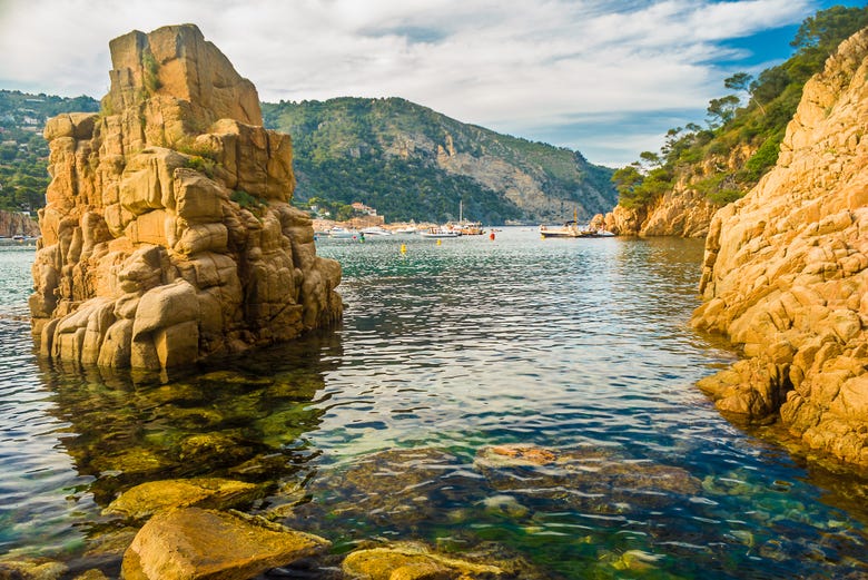 Rugged rocks of the Medes Islands