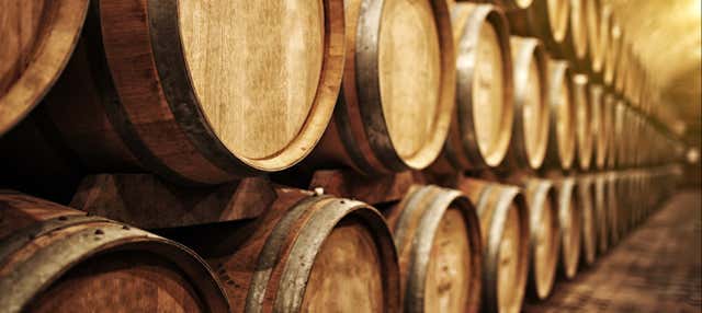 Visita a las Bodegas Yllera, El Hilo de Ariadna