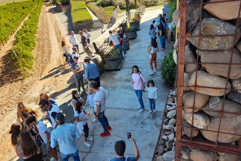 Probando los vinos de las Bodegas Menade