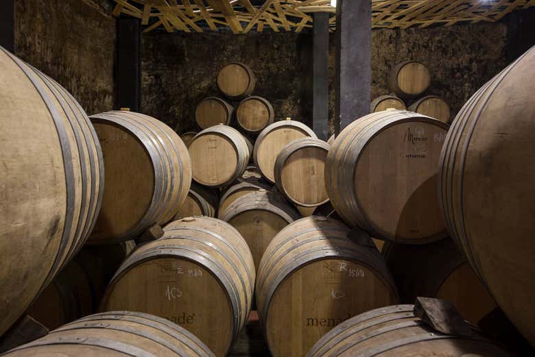 Barris de vinhos na adega