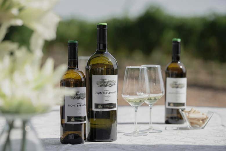 Variété de vins