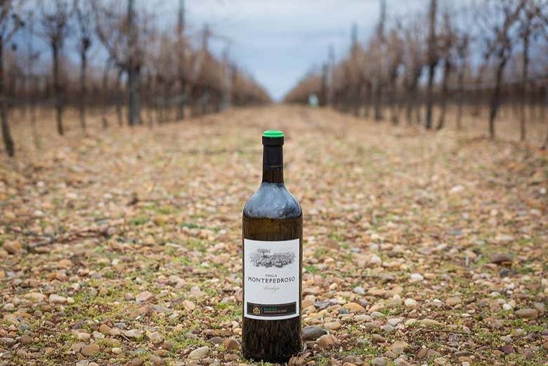 Une bouteille de vin à la Finca Montepedroso