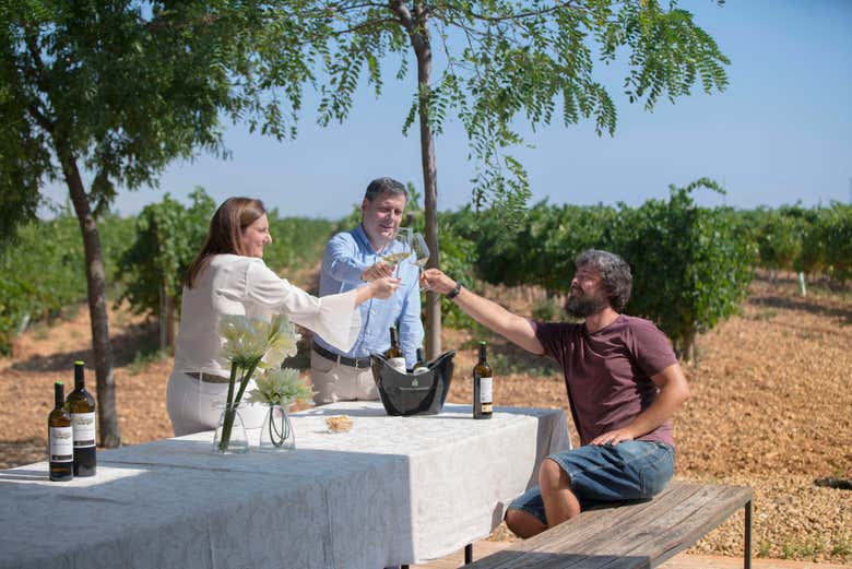 Tomaréis una cena tipo cóctel al aire libre