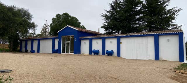 Visita a las bodegas Rodríguez y Sanzo de Rueda