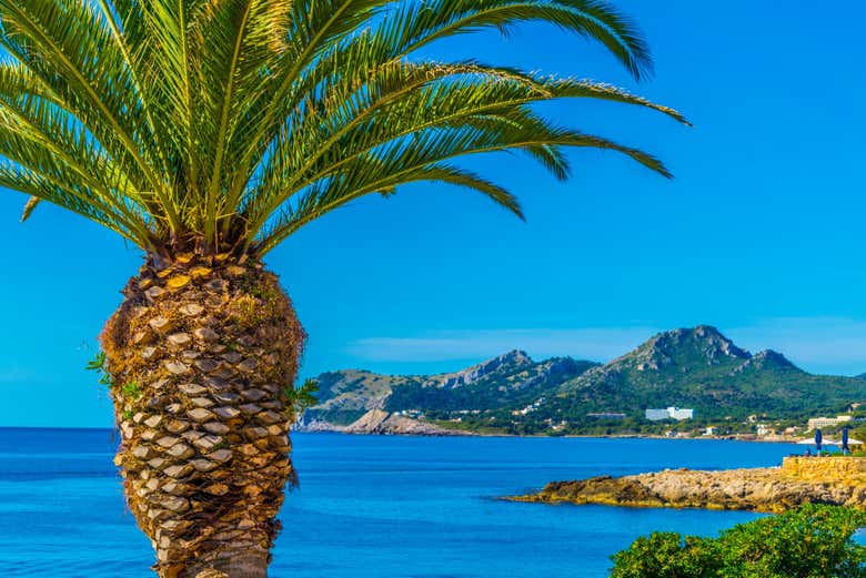 Cap Vermell