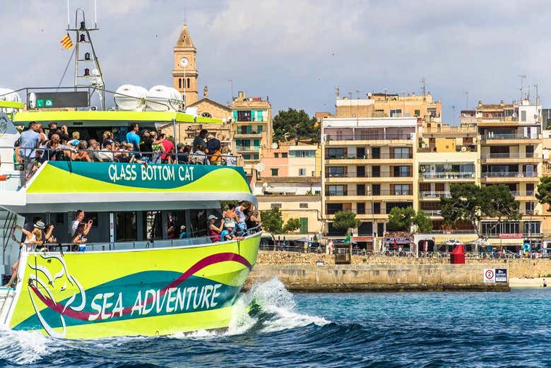 Catamarano