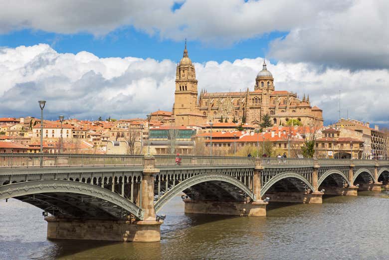 The New Cathedral of Salamanca