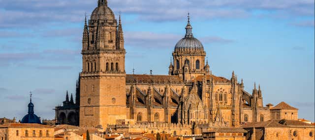 Visita guiada por la catedral de Salamanca