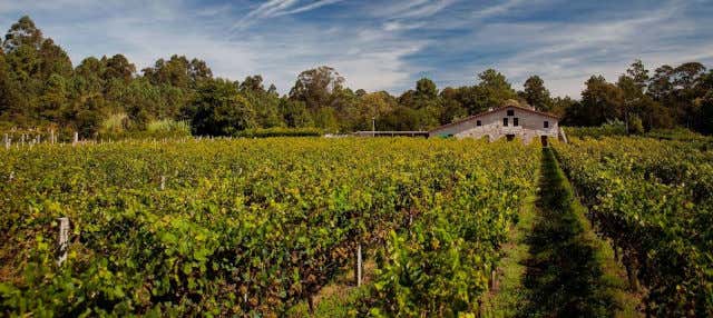 Visita a la bodega Corisca