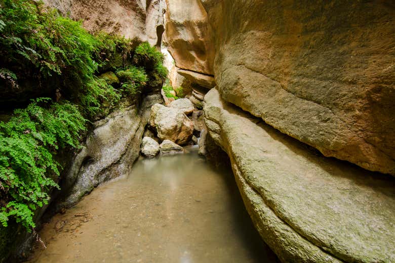 The Barranco de la Luna