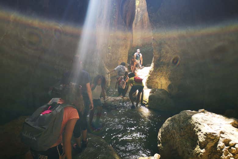 Explorando la naturaleza granadina