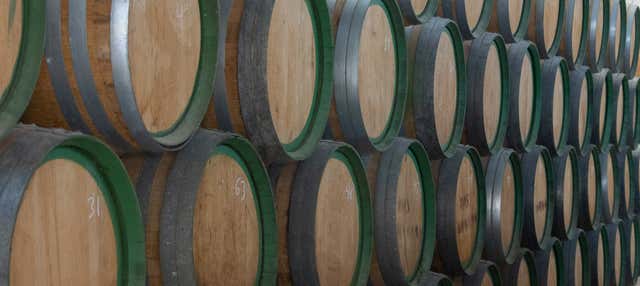 Visita a las bodegas Ron El Mondero