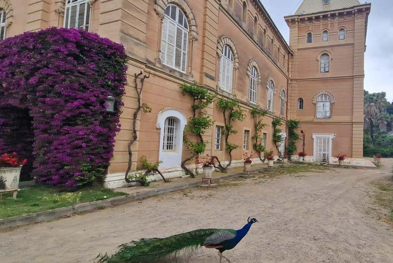 Bem-vindo ao Parc Samà!