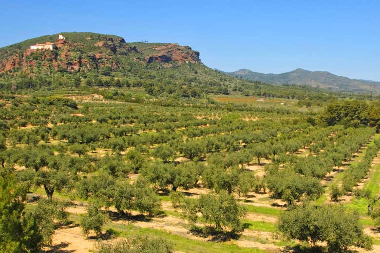 Paisagens de Montroig vista da ermida