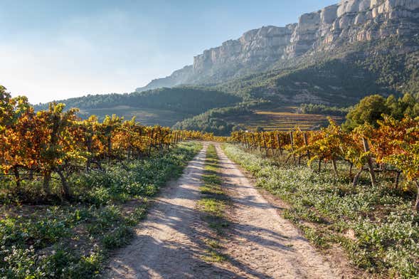 Visite du Priorat