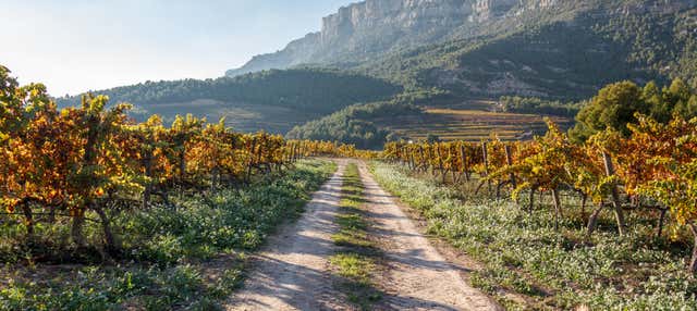 Visite du Priorat