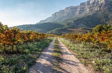 Tour por Priorat