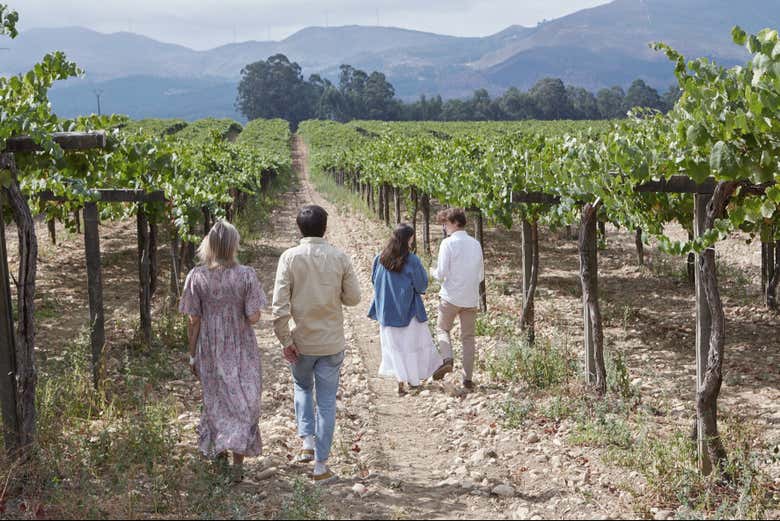 Recorriendo los viñedos de las bodegas La Val
