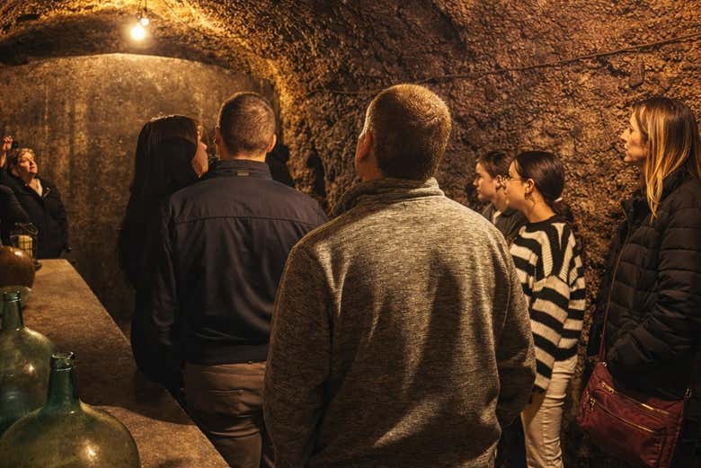 Visitando los subterráneos de las bodegas J.F. Iradier