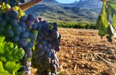 Visita a las bodegas J.F. Iradier
