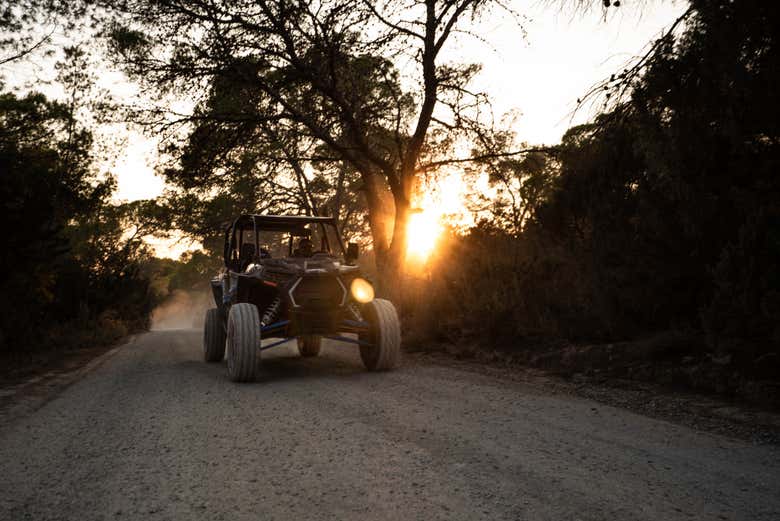 In buggy per le strade di San Antonio Abad