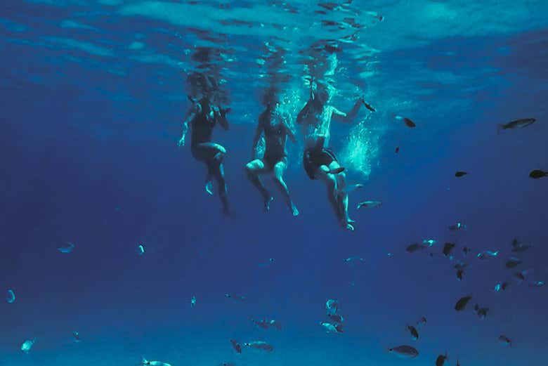 Swimming in the Mediterranean