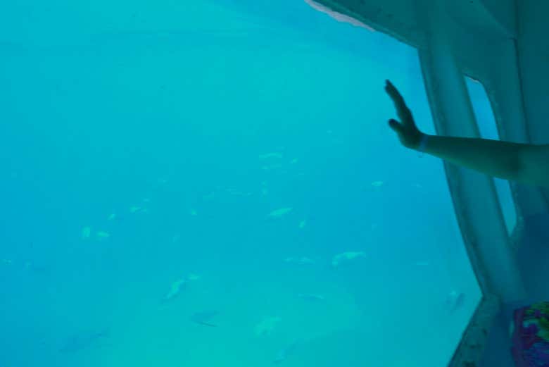 La barca ha un fondo trasparente