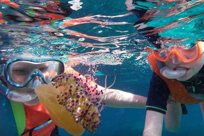 Crianças praticando snorkel