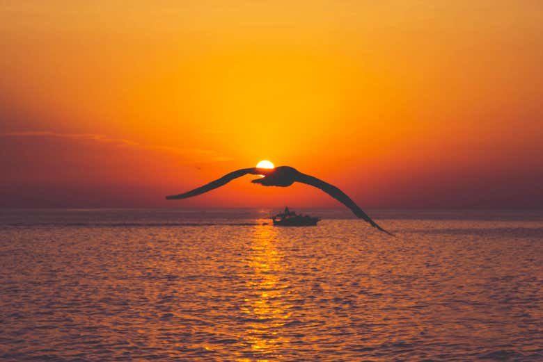 Pôr do sol